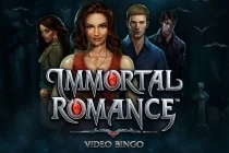 Immortal Romance Video Bingo