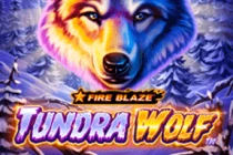 Fire Blaze Golden Tundra Wolf