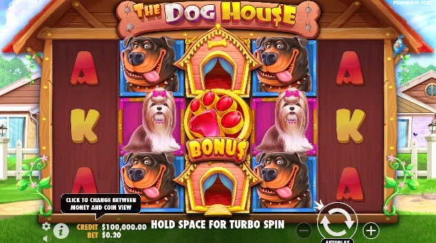 the Dog House Pragmaticplay